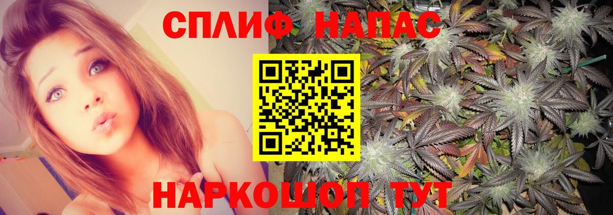Коряжма  Канабис THC 21%  Канабис сатива  Вход с VPN 